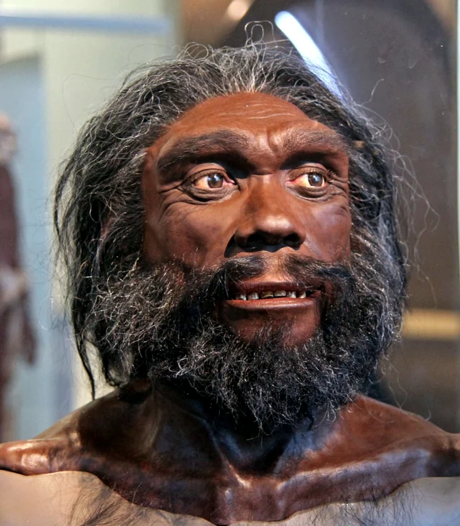 Homo Heidelbergensis FOTO donsmaps.com