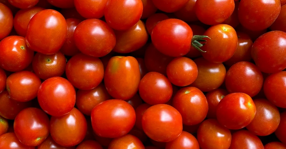 Legumele bio produse în Ciocănari ajung zilnic în Capitală. FOTO Ateliere fără frontiere