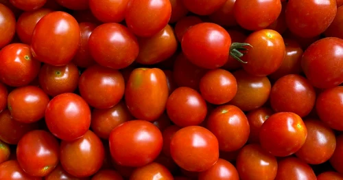 Legumele bio produse în Ciocănari ajung zilnic în Capitală. FOTO Ateliere fără frontiere