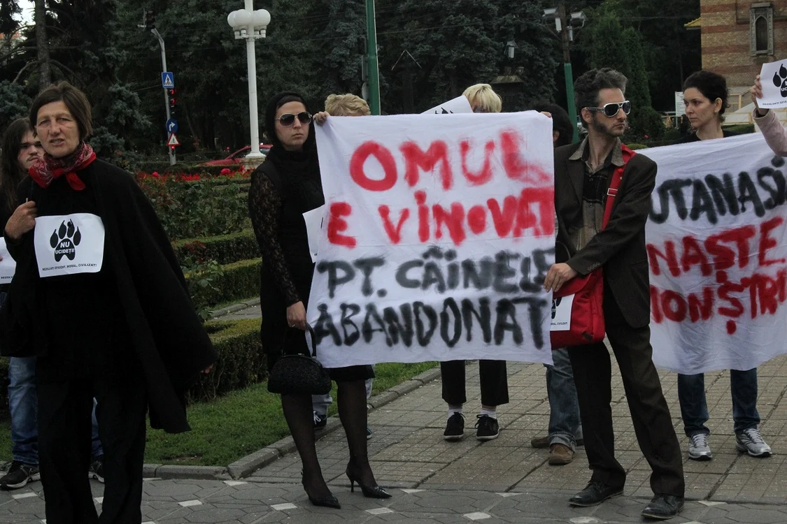 Organizațiile care protejează drepturile animalelor sunt în război cu primarul Timișoarei