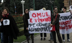 maidanezi protest timisoara 4 jpeg