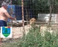 Animale ținute în cuști, în condiții necorespunzătoare FOTO: Facebook / Garda Națională de Mediu