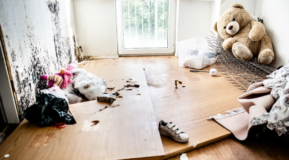 Românii, în centrul unui scandal în Germania. IT-ist român din Berlin acuză Der Spiegel: „Articol rasist”