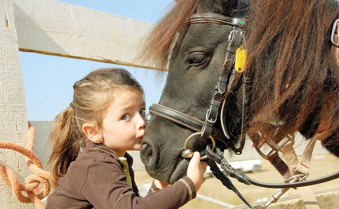 
    Patricia de la Amadeus are căluţi  acasă, la Buzău şi spune că ei  i-au făcut viaţa mai frumoasă  