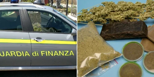 Garda Financiară a descoperit că în garaj erau 520 de kilograme de marijuana FOTO: tio.ch