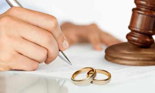 shutterstock 2461410779 jpg