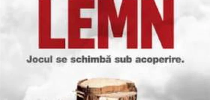 poster „Lemn” documentar