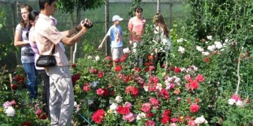 Cei care îndrăgesc trandafirii sunt bine veniţi la sărbătoare