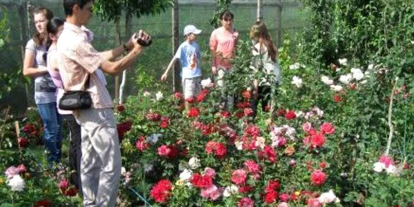 Cei care îndrăgesc trandafirii sunt bine veniţi la sărbătoare