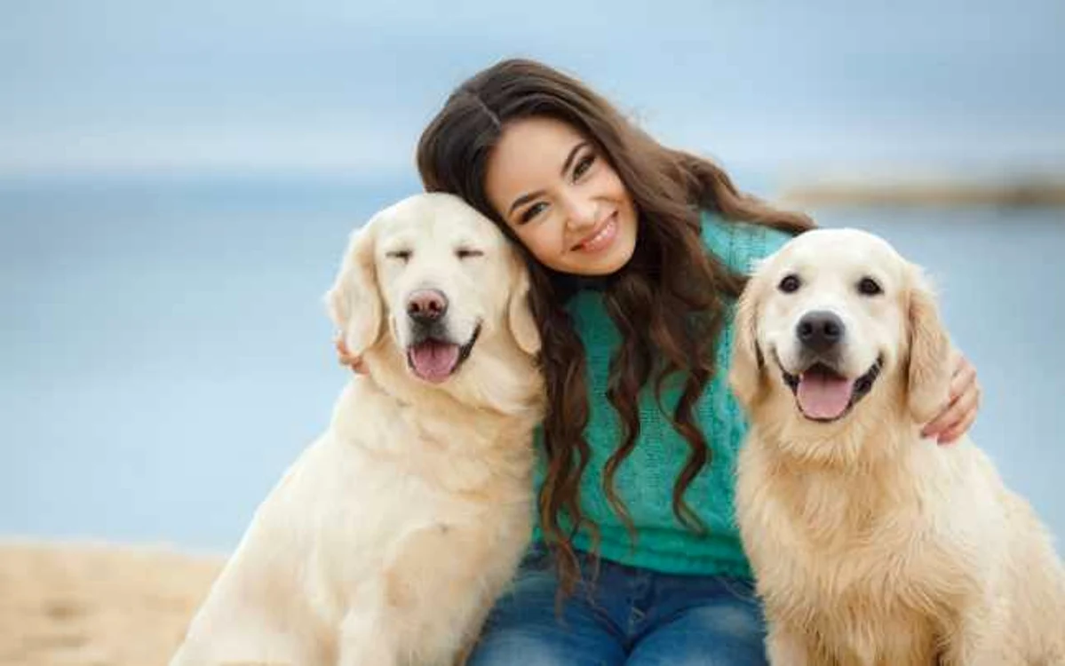animal de companie foto Legal Templates