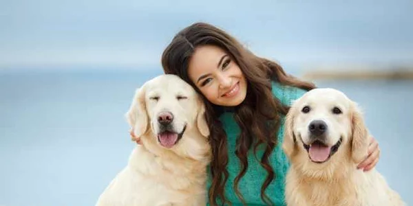 animal de companie foto Legal Templates