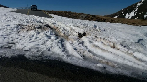 Transalpina