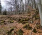Cetatea dacică Fețele Albe  Foto Daniel Guță  ADEVĂRUL (48) jpg