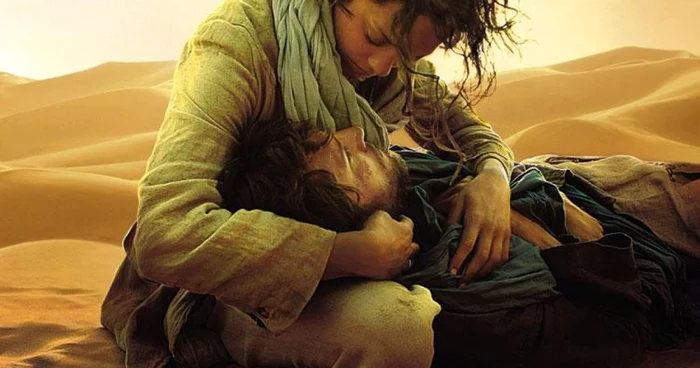 Sucevenii pot urmări pelicula "Le dernier vol"