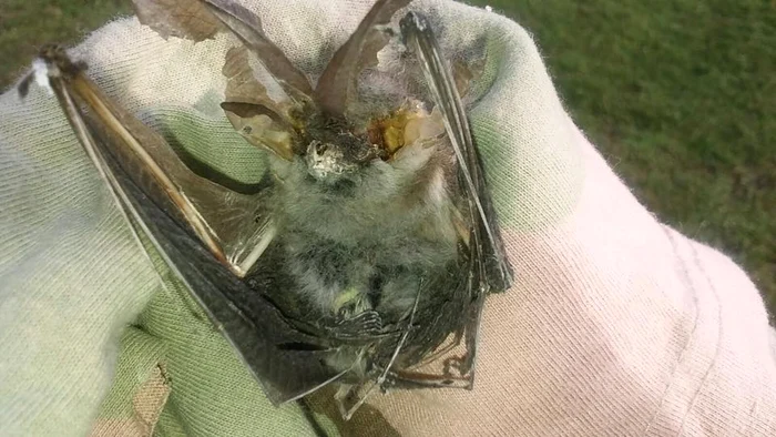 Artistul a publicat un mesaj acid şi o poza sugestivă pe pagina sa de Facebook