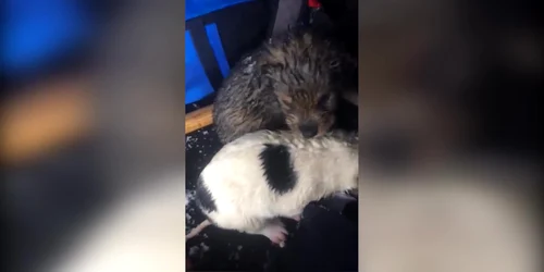 5c152b5cdf52022f75823a03 jpg