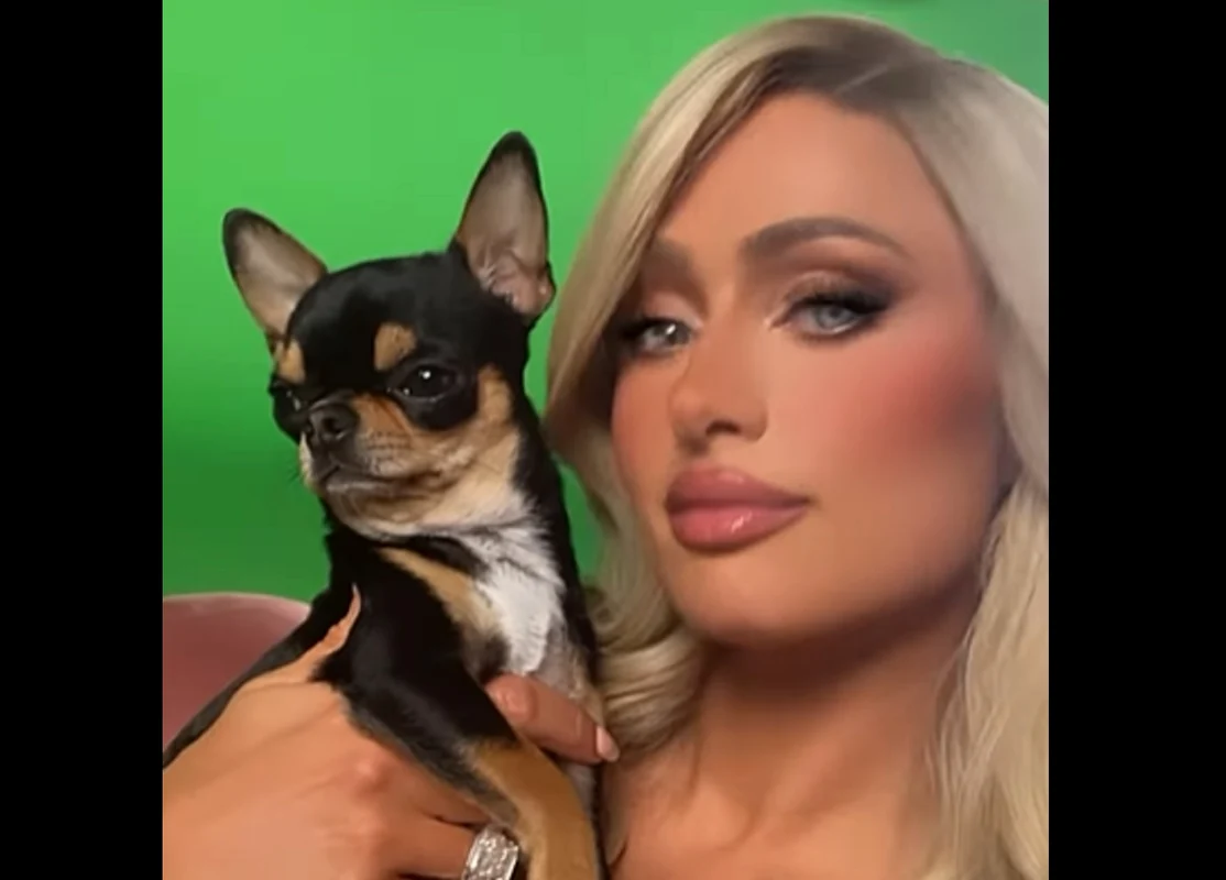 Diamond Baby a dispărut în luna septembrie. Foto: Instagram