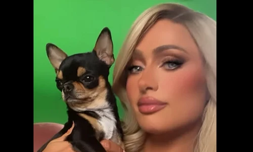 paris hilton caine pierdut instagram 2 jpg