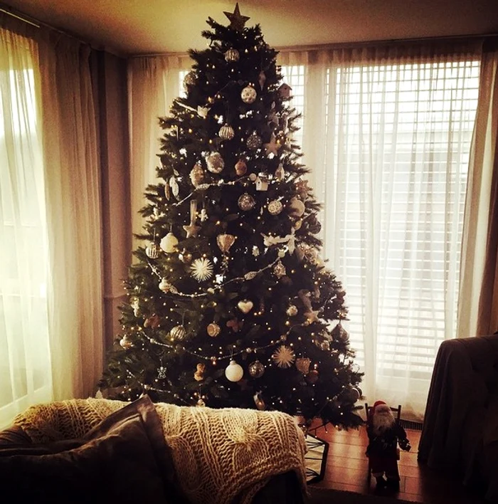 Cristi și Adelina Chivu au împodobit un brad și pentru ei