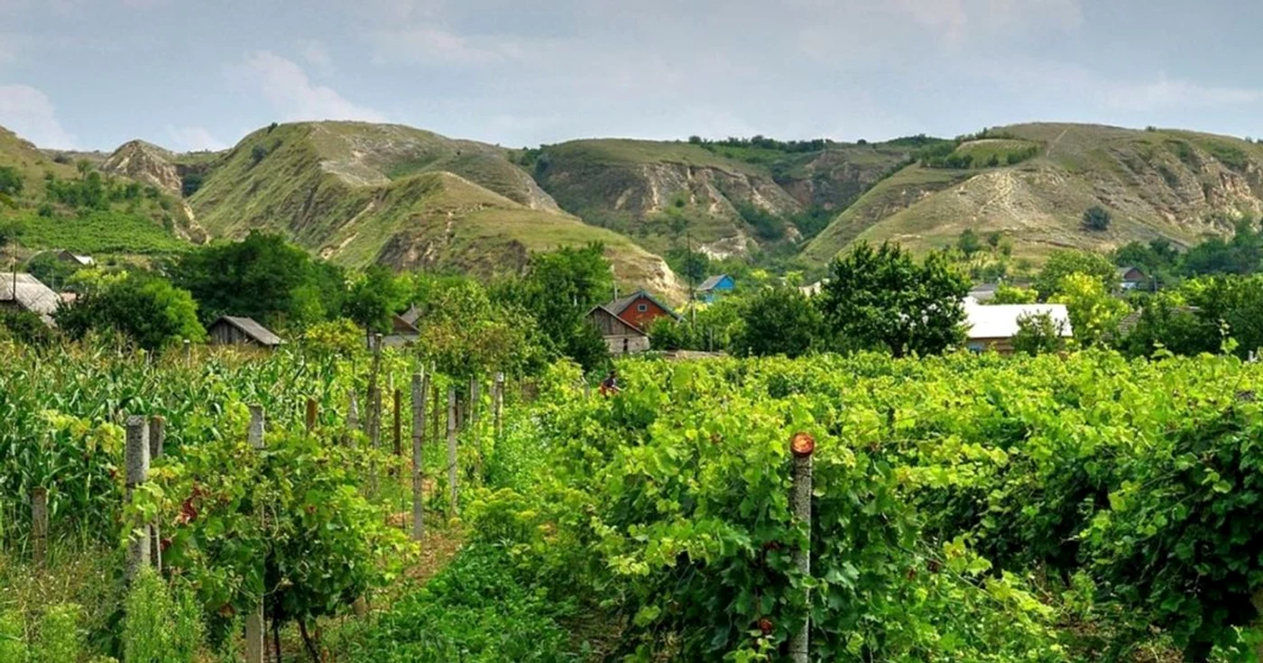 Imagine din satul Văleni din Republica Moldova FOTO Costel Crângan