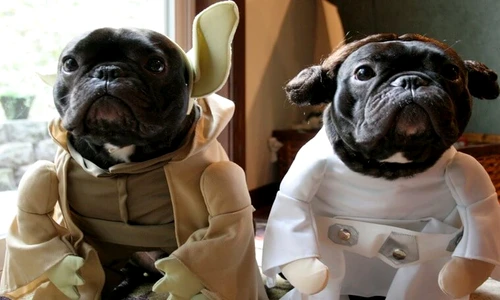 Yoda şi Leia în acţiune  jpeg