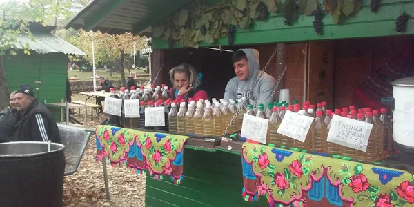 festivalul vinului 