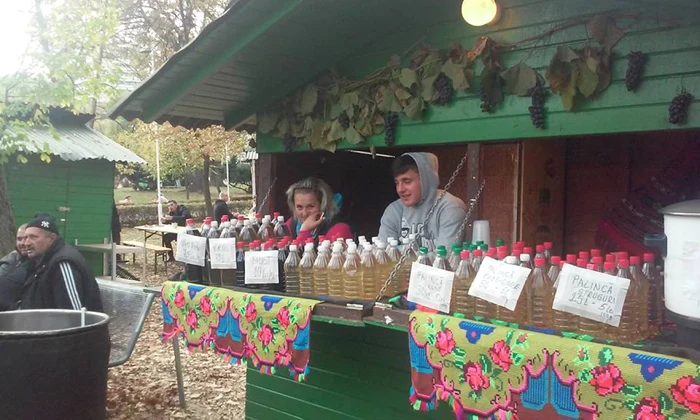 festivalul vinului 