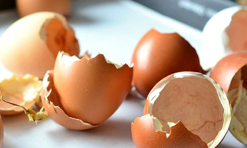 1 72160 original jpg jpeg