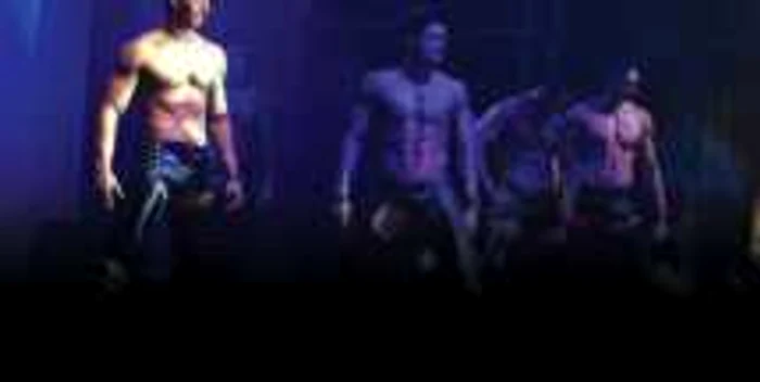 Stripperii vor scăpa repede de costumele de piraţi, în această seară, pe scena Sălii Palatului