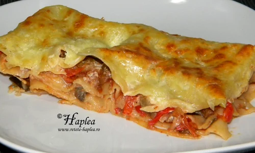 lasagna cu legume poza14 jpeg