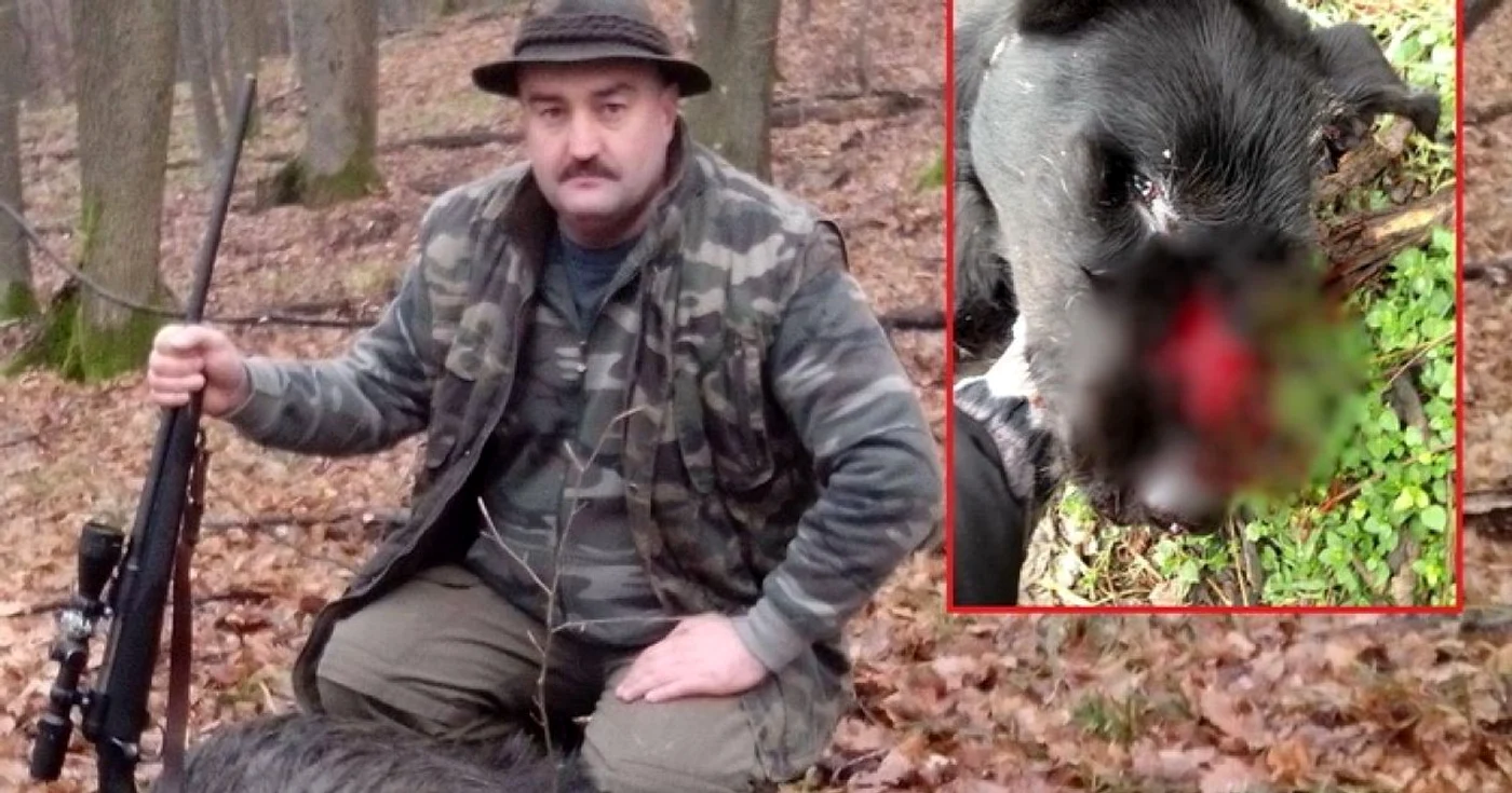 Cainele a fost impuscat de politist Foto-ebihoreanul.ro