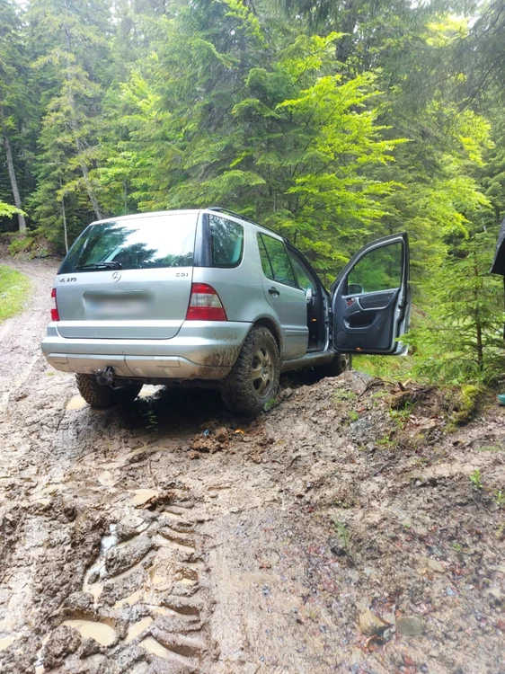 Turiştii au fost tractaţi de jandarmi