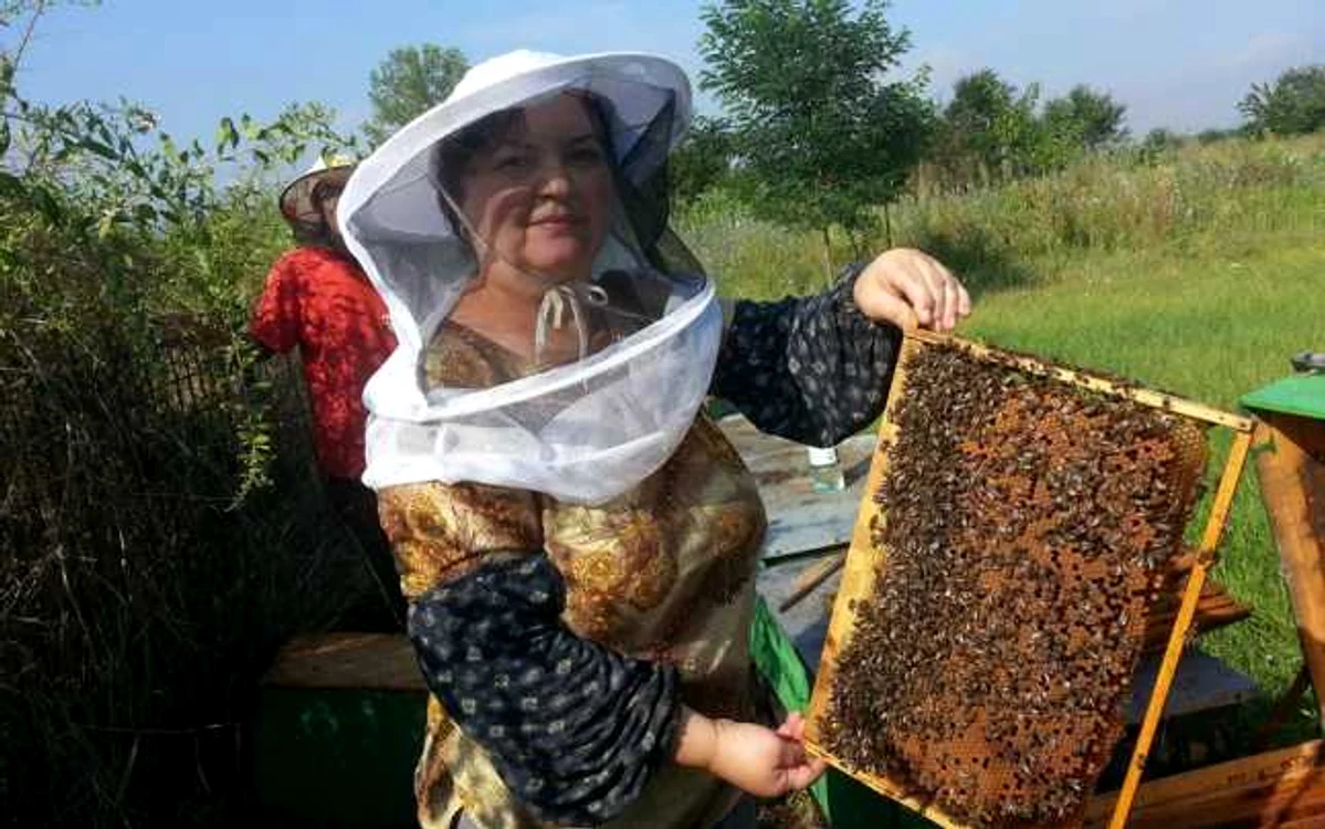 Alexandrina Truşcă, pasionată de albinărit de câteva decenii Foto:Facebook