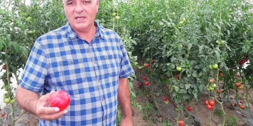 Ion Păunel fermier mega image FOTO Alina Mitran