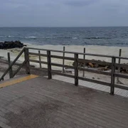 poluarea marea neagra odesa ucraina foto X/@CforCD