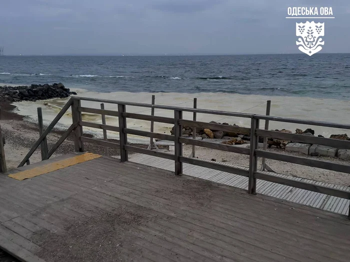 VIDEO Rusia a provocat un dezastru ecologic în Marea Neagră după ce a lovit rezervoare de ulei din portul Odesa. Numeroase viețuitoare, ucise de poluare