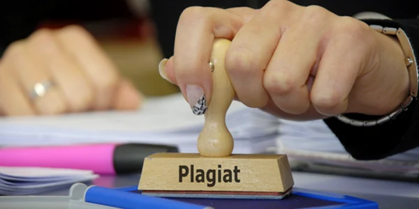 plagiat FOTO via carsa.rs