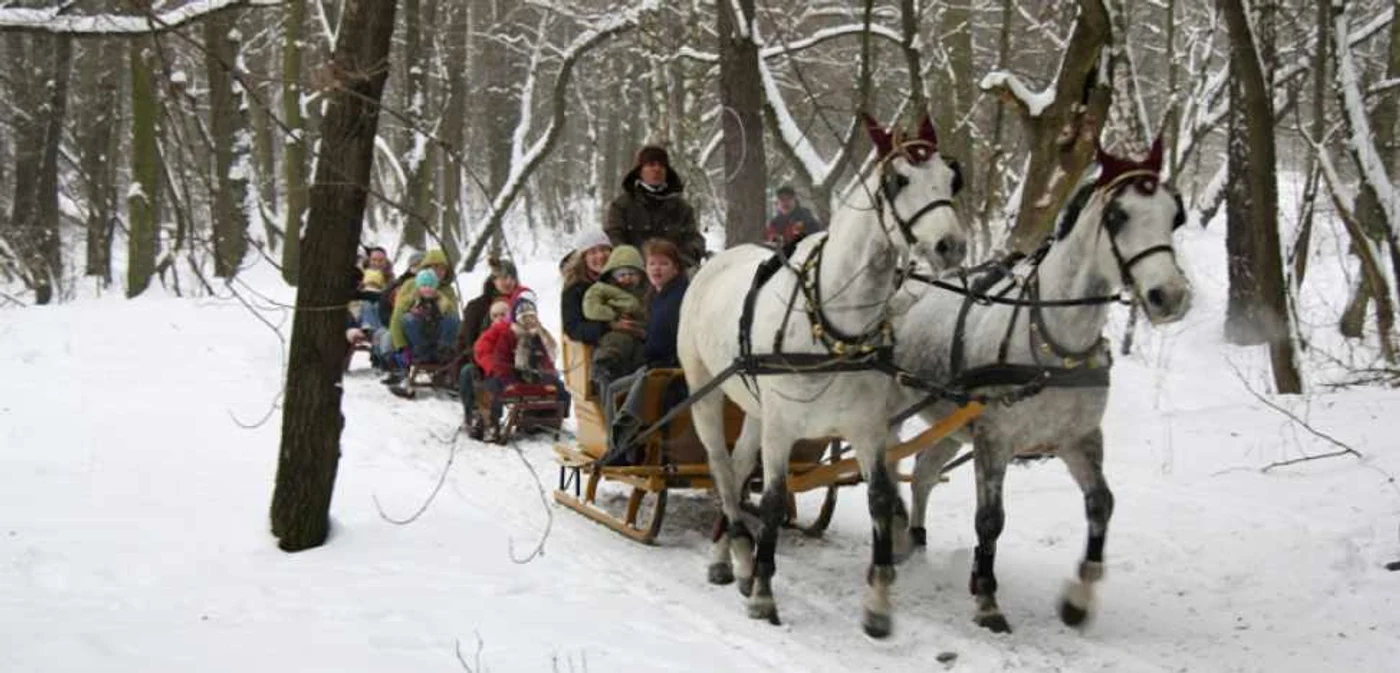 Cu sania trasă de cai FOTO naszaswidnica.pl
