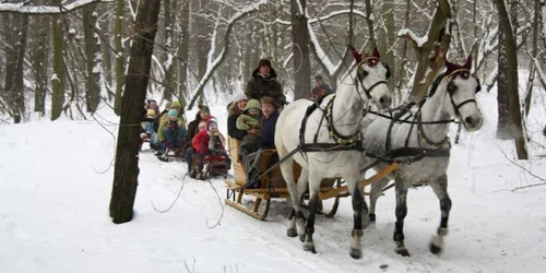 sanie trasa de cai foto