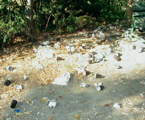 Pahare de plastic folosite, mucuri de ţigări şi maidanezi îi aşteaptă pe bolnavi în curte (FOTOGRAFII: ANDREEA MITRACHE)