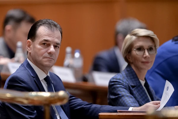 Guvernul și-a asumat Legea Bugetului pe 2020