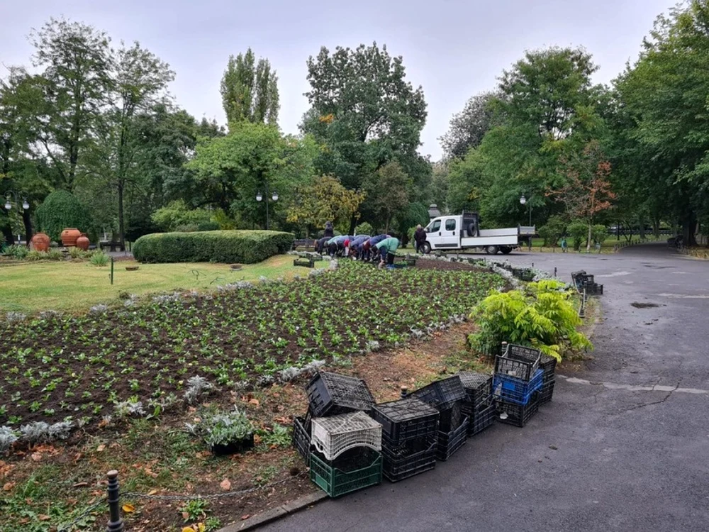 În Parcul Cişmigiu se plantează flori produse în serele proprii ale Administraţiei Lacuri, Parcuri şi Agrement Bucureşti Foto: Facebook Nicuşor Dan