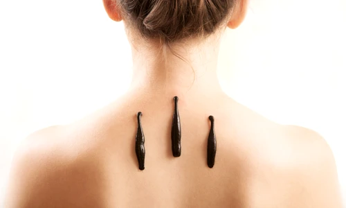 lipitori shutterstock 1385781665 jpg