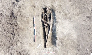 Cimitir roman descoperit la Cristești (© Muzeul Județean Mureș)