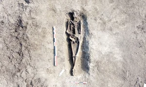 Cimitir roman descoperit la Cristești (© Muzeul Județean Mureș)