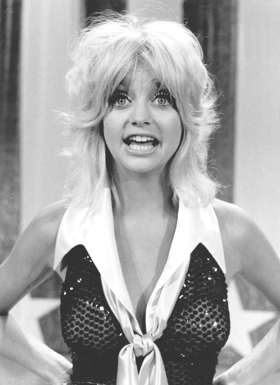 Goldie Hawn (Foto: Wenn)