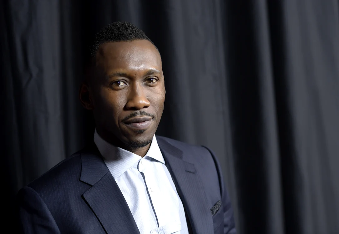 
    Moonlight a primit premiul pentru Cel mai bun film al anului  