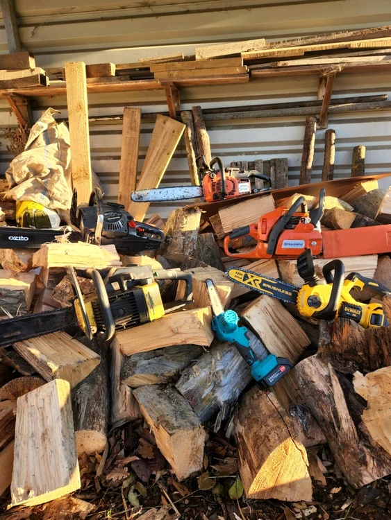 Mai multe modele de drujbe prezentate pe o grămadă de bușteni tăiați Foto Fire and Saw jpg