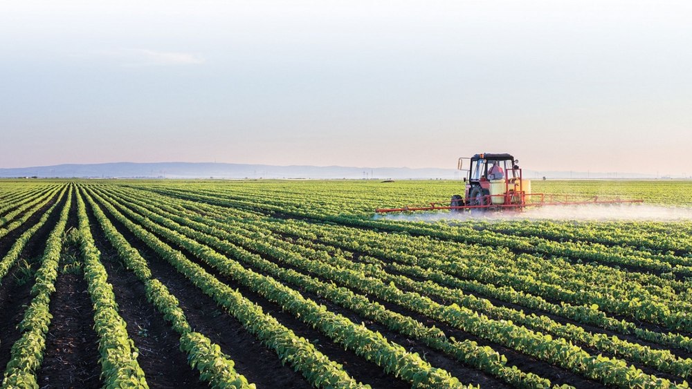 Cererile de acordare a grantului din domeniul agricol vegetal pot fi depuse la APIA până pe 8 martie
