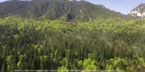 5ec7b7a35163ec42710889a3 jpg